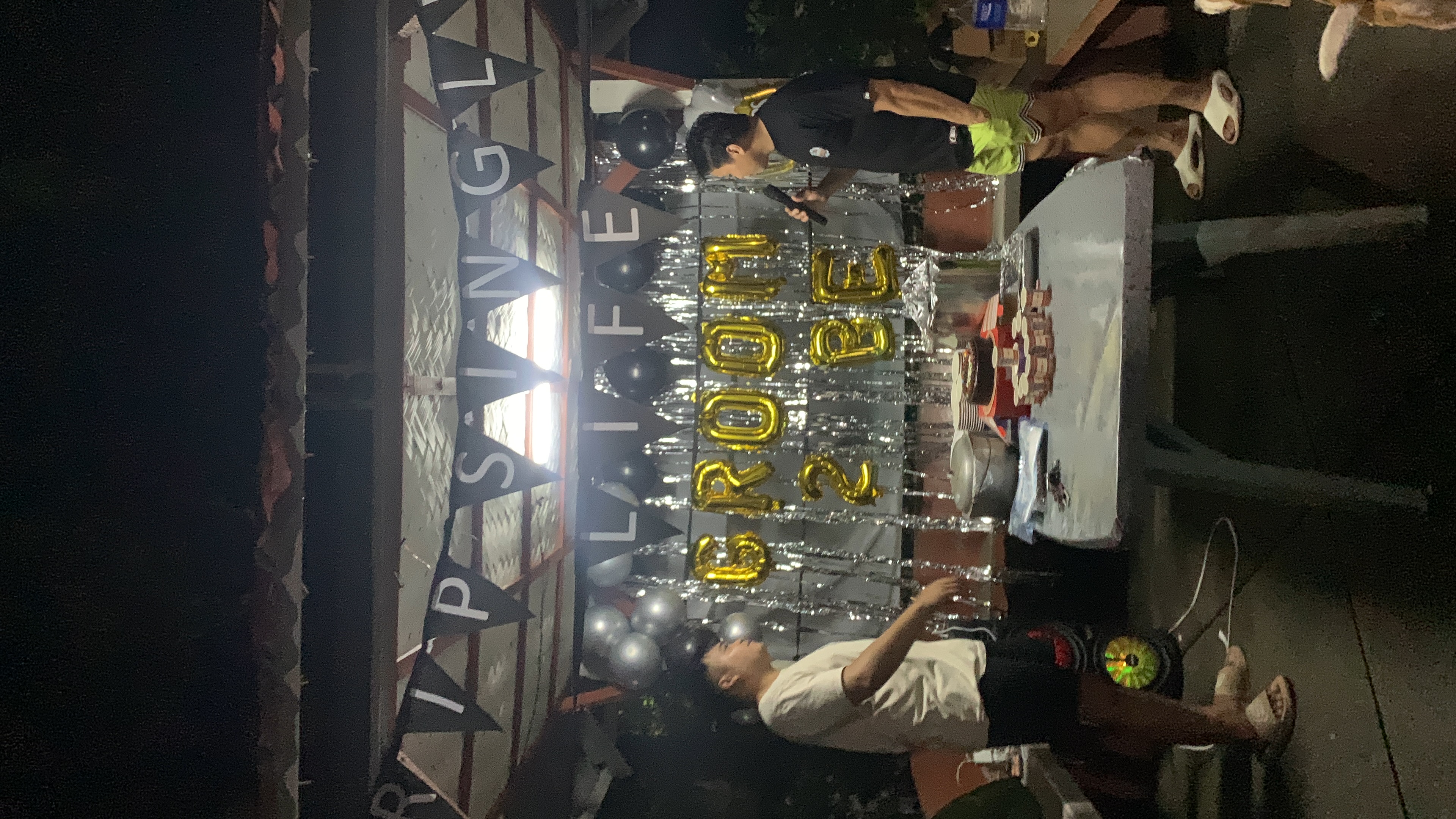 Bachelors Party - Party Mode